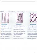 Abitur Lernzettel Chemie LK