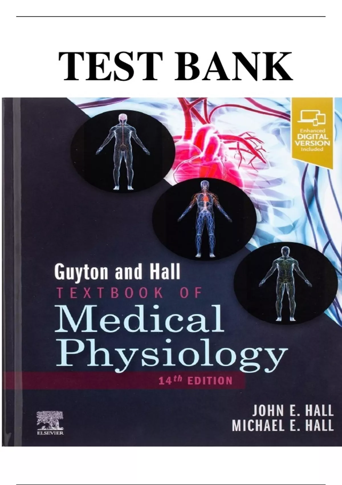 TEST BANK For Guyton And Hall Textbook Of Medical Physiology 14th ...