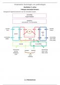 Samenvatting -  Anatomie, Fysiologie en Pathologie