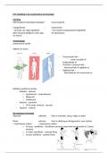 Anatomie en Radiologische anatomie: samenvatting alle LP's