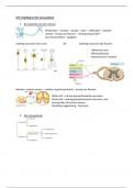 Anatomie en Radiologische Anatomie: LP4 samenvatting
