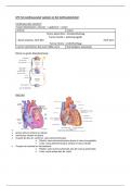Anatomie en Radiologische Anatomie: LP5 samenvatting