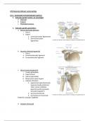 Anatomie en Radiologische Anatomie: LP8 samenvatting