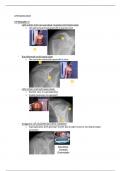 Anatomie en Radiologische Anatomie: LP8 radiologie samenvatting