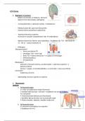 Anatomie en Radiologische Anatomie: LP9 samenvatting