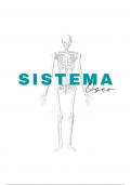 Sistema oseo,  descripcion visual con imágenes sobre huesos y estructura ósea del cuerpo 