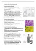 Weefsels Samenvatting E-module Inleiding Microscopie