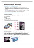 Organisme - Hoorcolleges Thema 6