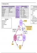 Obesity Study Guide