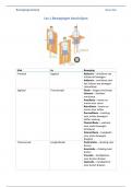 Bewegingsanalyse samenvatting propedeuse