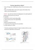 Anatomy of Upper limb