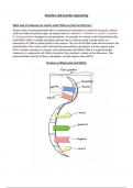 Unit 11 - Genetic and Genetic Engineering