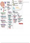 Pathophysiology & Pharmacology: Gas exchange & NVD