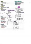 Pathophysiology & Pharmacology: Gas Exchange