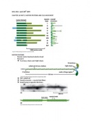 The Cell samenvatting Hoofdstuk 16 (2)