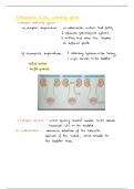 Congenital Kidney Abnormalities USMLE