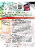 Sexual reproduction in flowering plants chapter 1 biology ncert textbook 