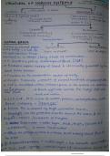 The Human Brain- structural components, parts, and functions.