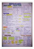 Biomolecules class 11th best summary notes