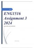 ENG1516 Assignment 3 2024