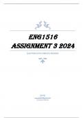 ENG1516 Assignment 3 2024