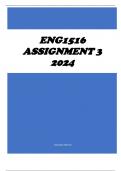 ENG1516 Assignment 3 2024