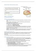 Neuropsychology