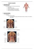 Anatomie  ZT 1