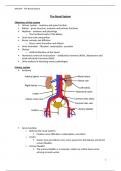 Lecture notes Contexts of Care (SHN169) 