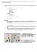 Summary Food Hazards (FHM22806): Food fraud, Allergies, HACCP