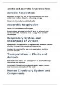 aerobic and anaerobic respiratory notes