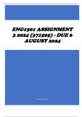 ENG1501 Assignment 3 2024 (371505) - DUE 6 August 2024