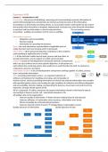 Samenvatting -  Auditing & Accounting Information Systems