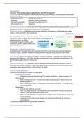 Samenvatting -  Intermediate Financial Accounting