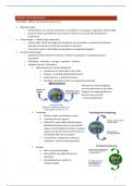 Samenvatting ecotoxologie - UA- Prof. Bervoets