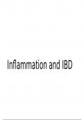 Summary of the inflammatory process in IBD and the way current drug treatments help manage the condition