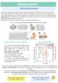 Fisiopatología respiratoria