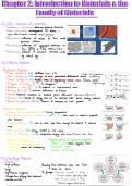  NMC113 / NMC123 "Chapter 2: Introduction to Materials & the Family of Materials" notes