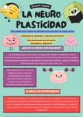 Résumen de dos artículos científicos de la neuroplasticidad