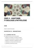 OWE 4 HAN - ANATOMIE, FYSIOLOGIE & PATHOLOGIE