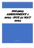 INC4803 Assignment 1 2024 - DUE 31 May 2024