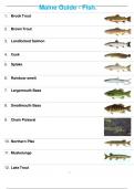 Maine Guide - Fish with pictures.