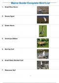 Maine Guide Complete Bird List
