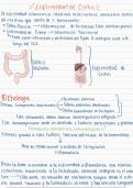 Enfermedad inflamatoria intestinal