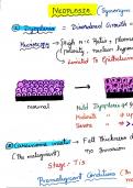 University Exam  pathology Robbins & Cotran Pathologic Basis of Disease E-Book