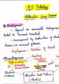Pathology handwritten notes University Exam 