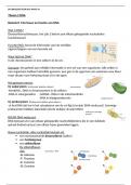 zeer duidelijke samenvatting EXAMEN bvj 5 havo thema 2 DNA