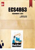 ECS4863 Assignment 1 2024 (ANSWERS)