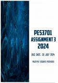 PES3701 Assignment 3 2024 | Due 30 July 2024