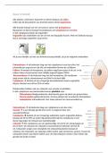 Samenvatting -  toelatingstoets natuur en techniek!! :)